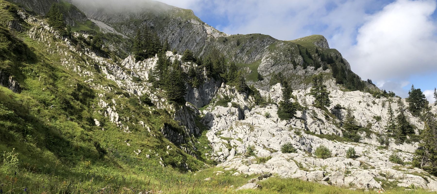 Virées nature