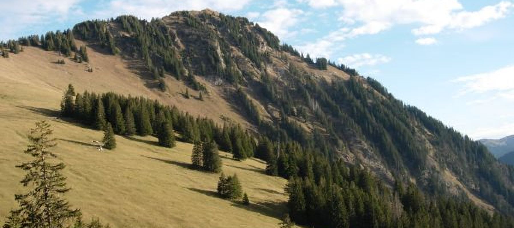 Virées nature