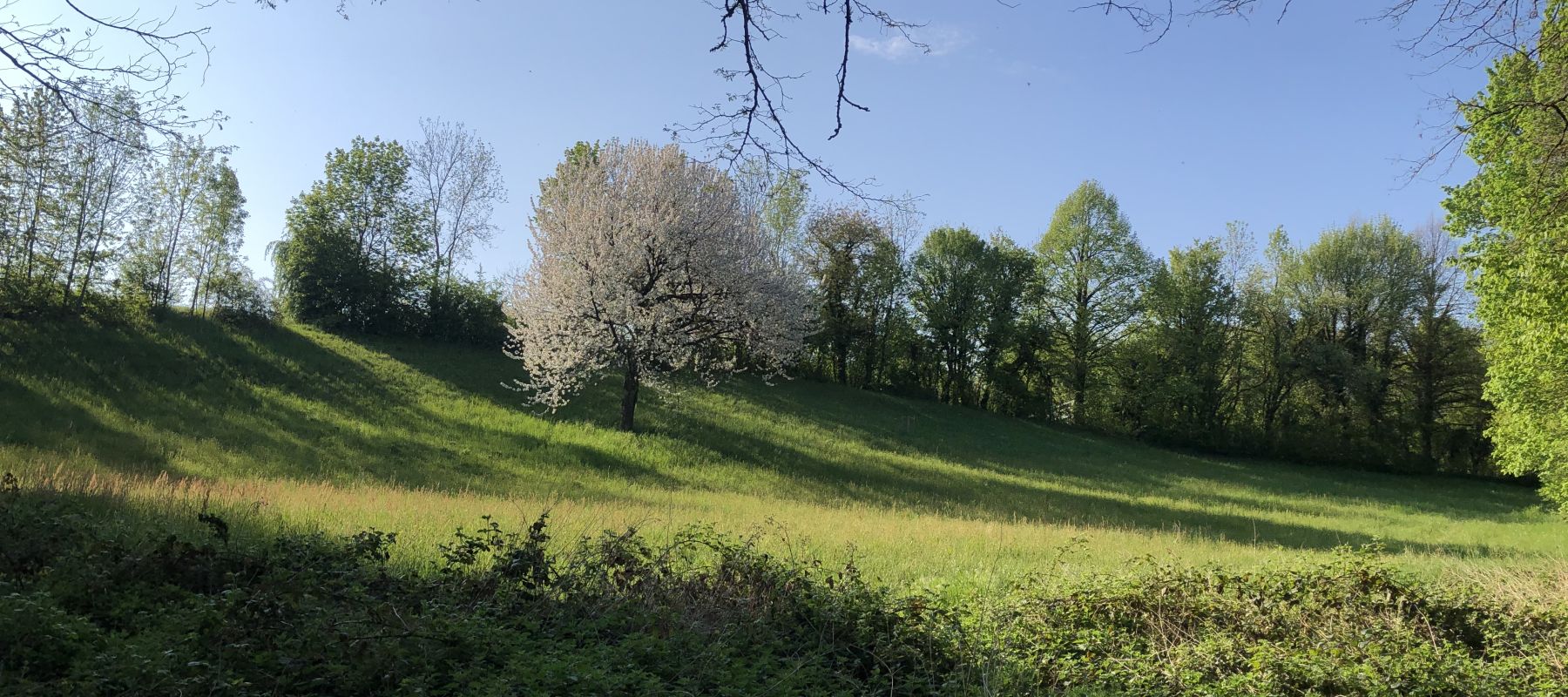 Virées nature