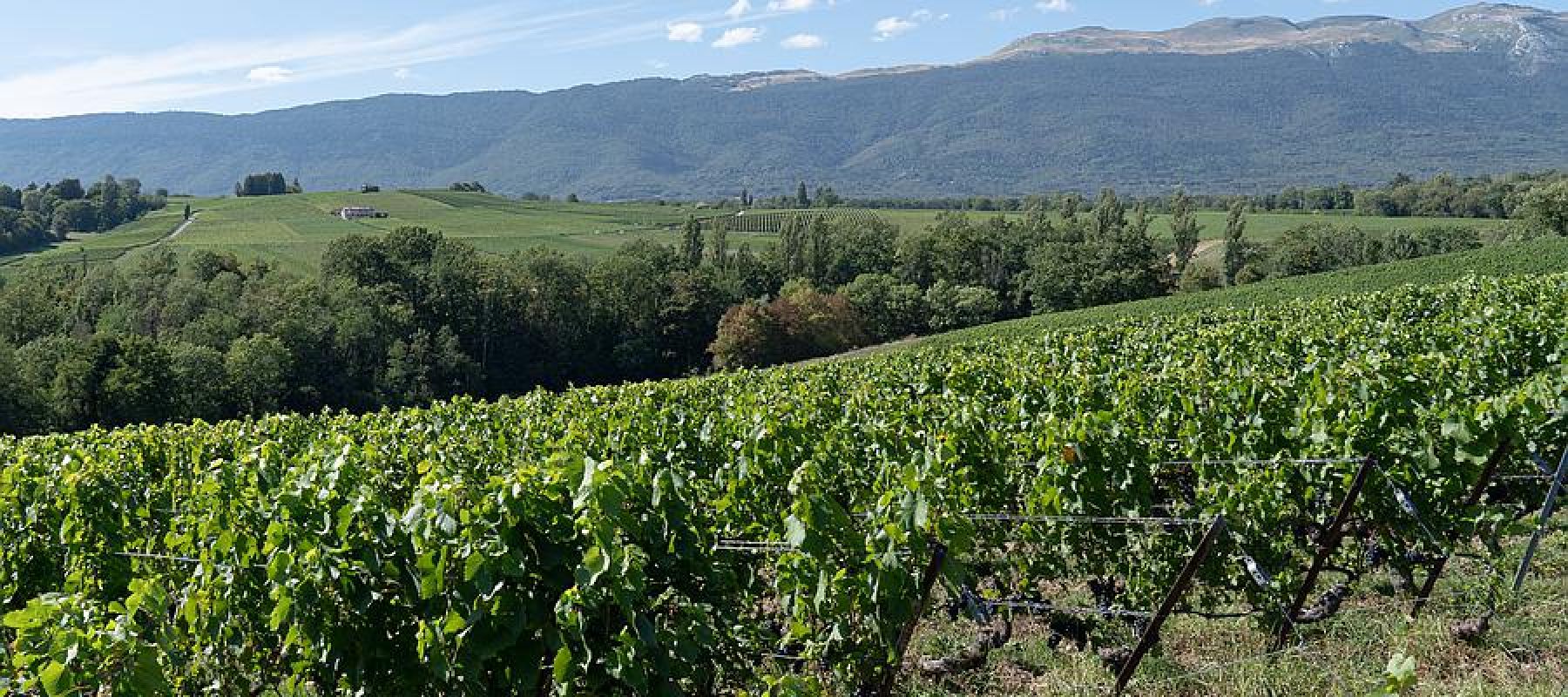 Virées nature