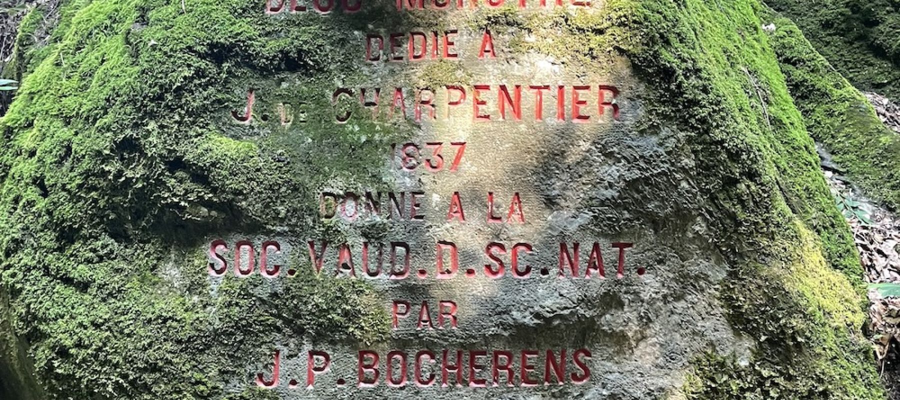 Virées nature