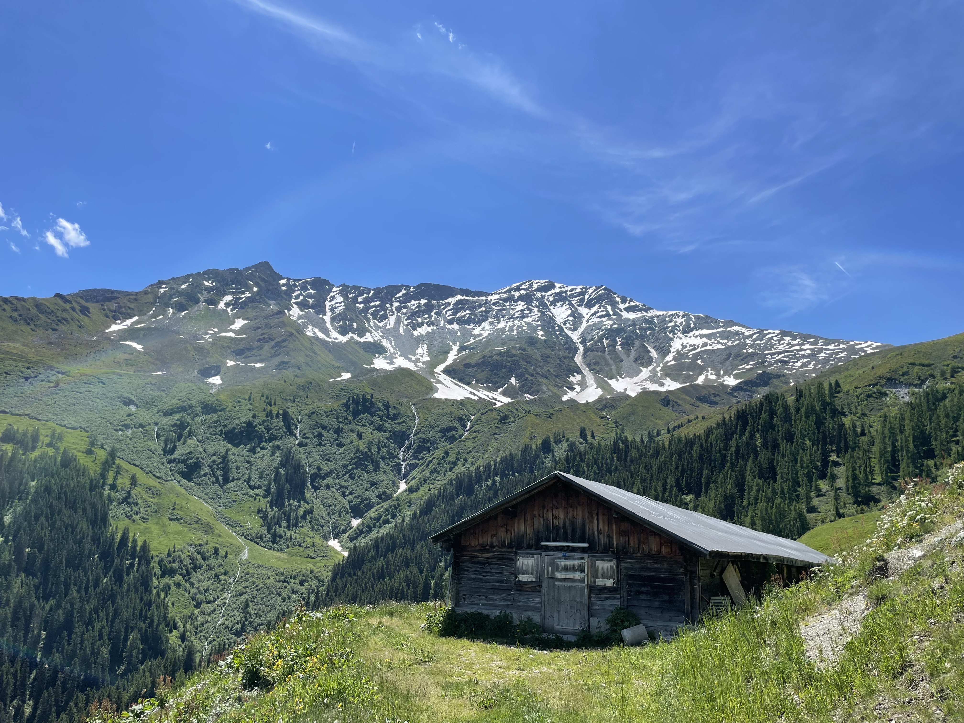 home bg