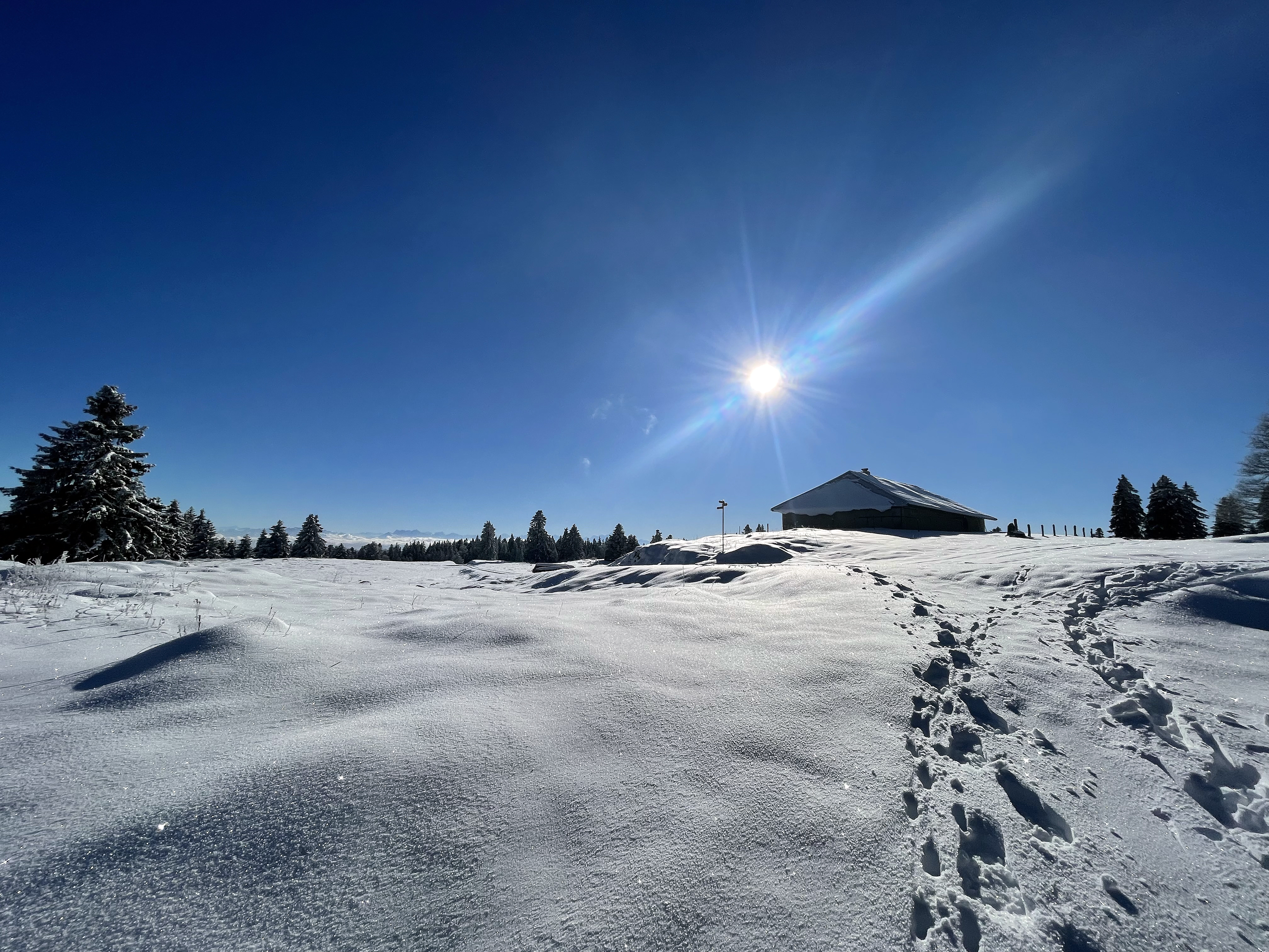 home bg