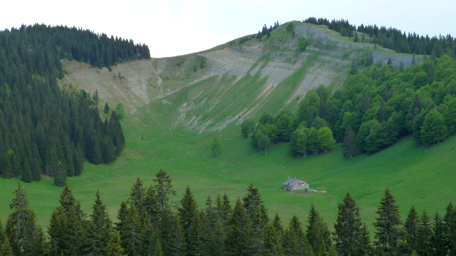 home bg