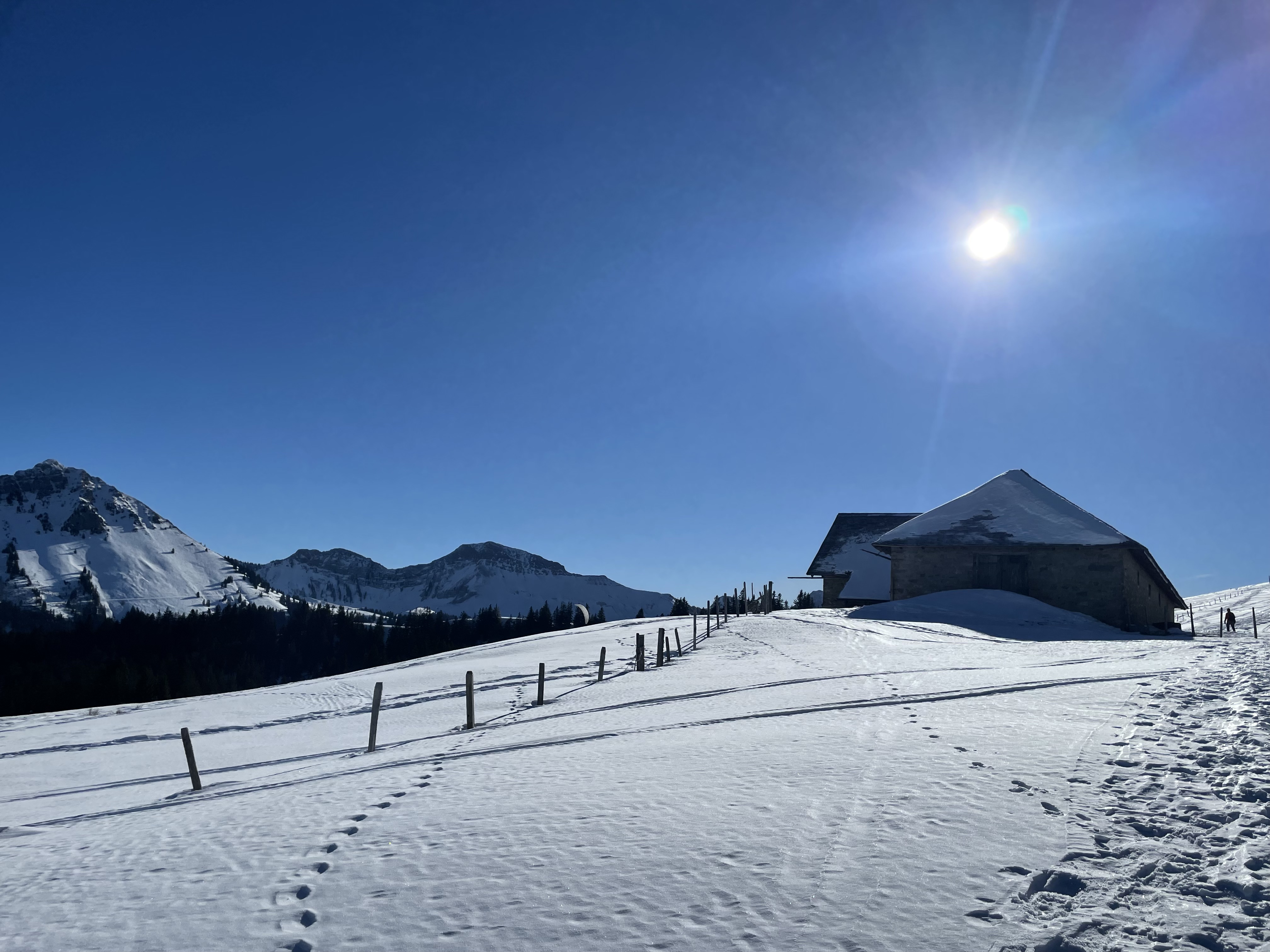 home bg
