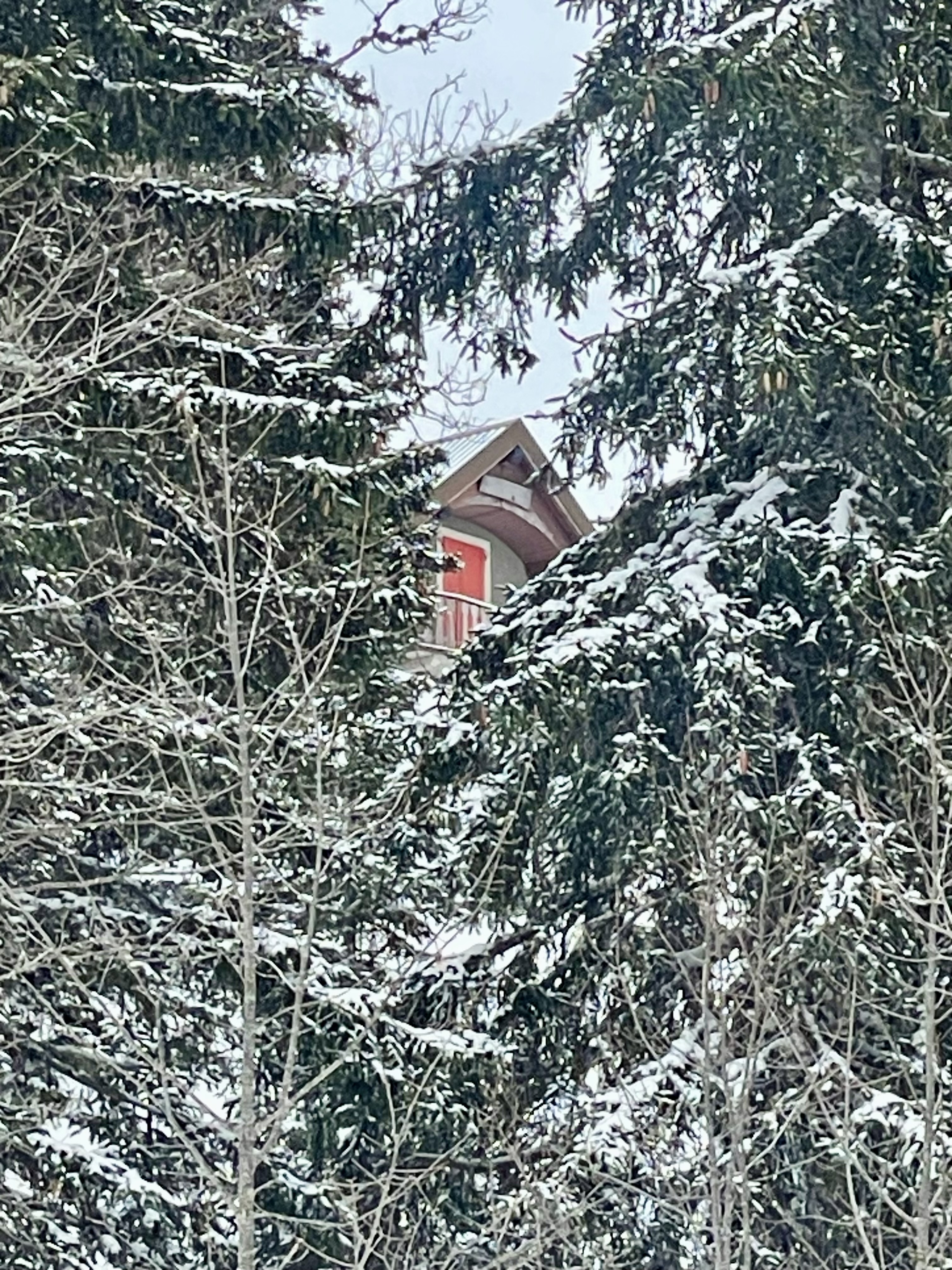 home bg